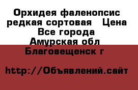 Орхидея фаленопсис редкая сортовая › Цена ­ 800 - Все города  »    . Амурская обл.,Благовещенск г.